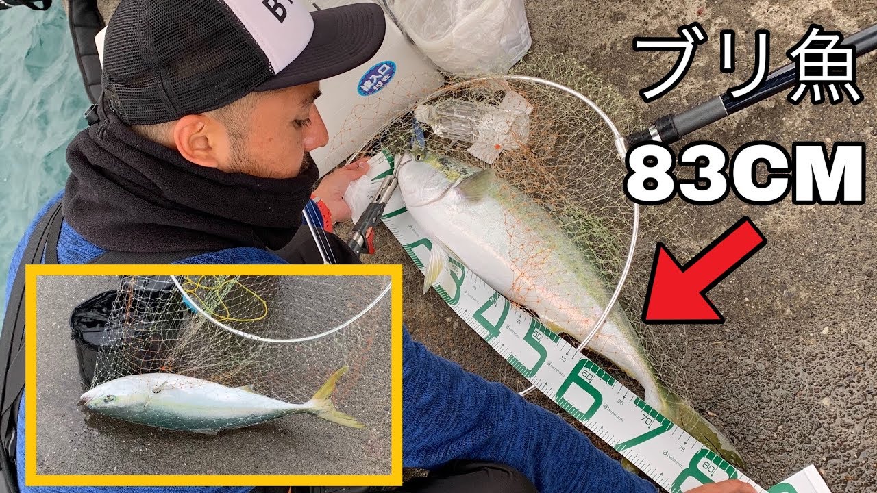 一日で２つの場所へ行って 遠州灘サーフと新居で８３ｃｍのブリを釣りです 泳がせ釣り Youtube