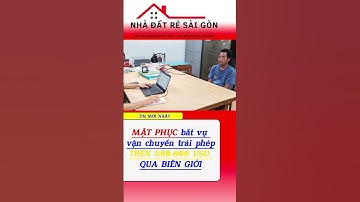 MẬT PHỤC BẮT VỤ VẬN CHUYỂN TRÁI PHÉP TRÊN 500.000 USD QUA BIÊN GIỚI#tintuc #vanchuyen #tin24h#shorts