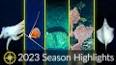 The Fascinating World of Deep-Sea Exploration ile ilgili video