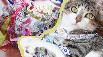 DIY: Easy Cat Toy | How to Make an Easy Cat Toy using Fabric Scraps