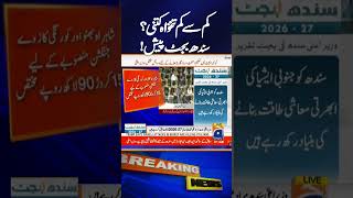 "Sindh Chief Minister Announces New Minimum Wage Update" | Breaking News | Geo News
