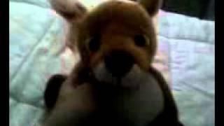 Retired webkinz in the mail!