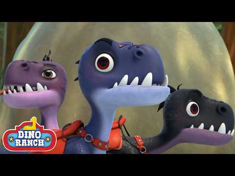 🦖 Clara Tries to Ride the Wildest Dinosaur! 😱 | Dino Ranch | Cartoons For Kids