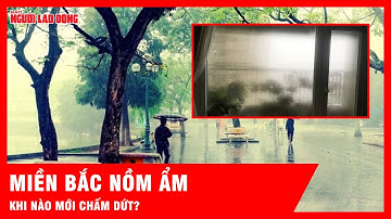 Nồm ẩm trái mùa ở miền Bắc khi nào mới chấm dứt? | Tin tức