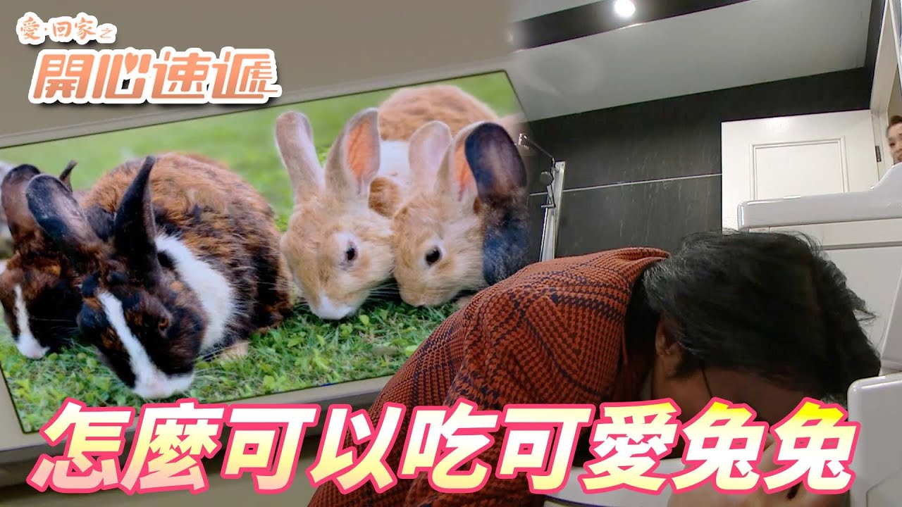 愛.回家之開心速遞精華短片|兔兔這麼可愛怎麼可以吃兔兔!!吃兔子這回事還是留要叫國外人去比較合得來!!| 劉丹、呂慧儀、單立文、滕麗名、周嘉洛 ...