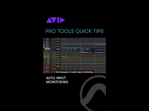 Auto Input Monitoring in Pro Tools to switch automatically between playback & input when punching in