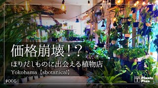 #005 価格崩壊!? ほりだしものに出会える植物店 (横浜 sbotanical)