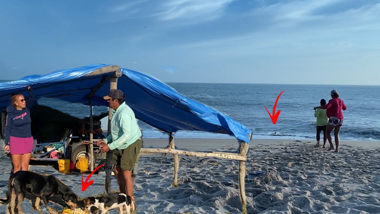 ACAMPAMENTO, muita força p tirar o gigante da água, carinho com os ANIMAIS que encontramos por lá.