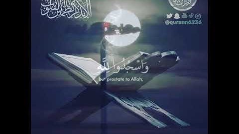 الشيخ: ياسر الدوسري، سورة فصلت، آية (٣٨).