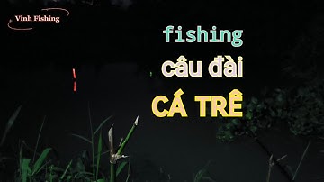fishing câu đài câu cá trê đêm phao săn hàng bình Mỹ Củ Chi