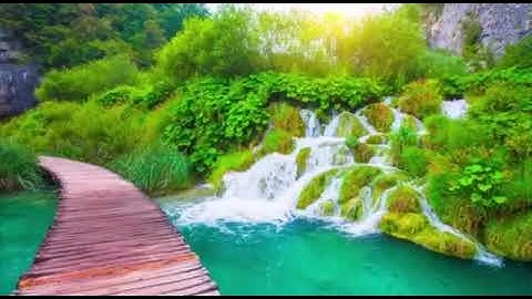 تلاوة من سورة الصافات | الشيخ ناصر مشقي سحاري- وفقه الله. صلاة التراويح.#السعودية #قرآن