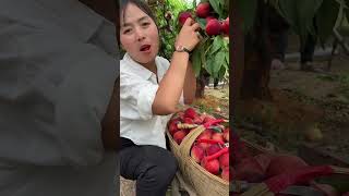 Agriculture Village Fresh Fruit #Viral #Fruit #Shorts #999