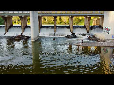 What lives in this GIANT weir? Australia 4/4