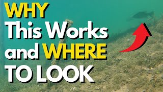 Top August Bass Fishing Lures and Techniques | Summer Bass Fishing Tips