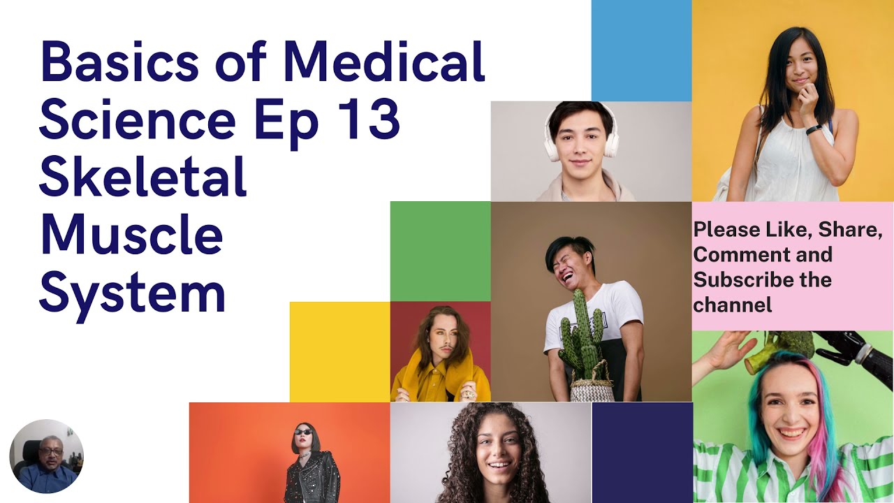 Basics of Medical Science Ep 13 Skeletal Muscle System