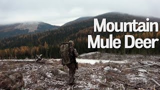 BC Mountain Mulees  Mule Deer Hunting  S1 Ep7