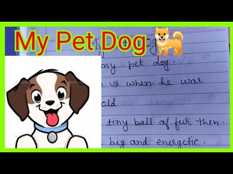 my pet dog essay for kindergarten