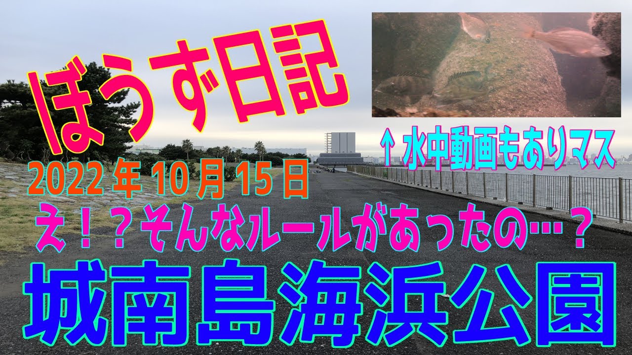 ぼうず日記 +水中映像（※ 城南島海浜公園　2022年10月15日）