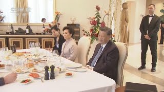 习近平出席武契奇总统饯行话别