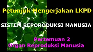 LKPD Organ Reproduksi pada Manusia_Kelas 9