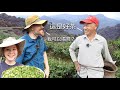 坪林一日遊：Great Taste 3顆🌟茶農帶我們到他山上的家，採茶，吃午餐，看包種茶的來源 Artisan Tea Farmer in Pinglin Invites us to His Home