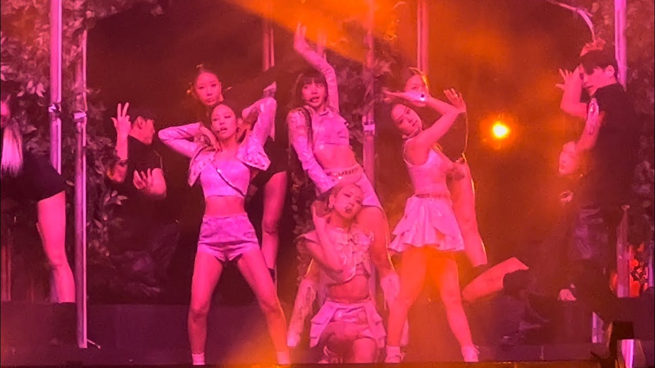 221111 Pretty Savage Blackpink Born Pink Tour Chicago Day 2 Concert 블랙핑크 Live Fancam Performance