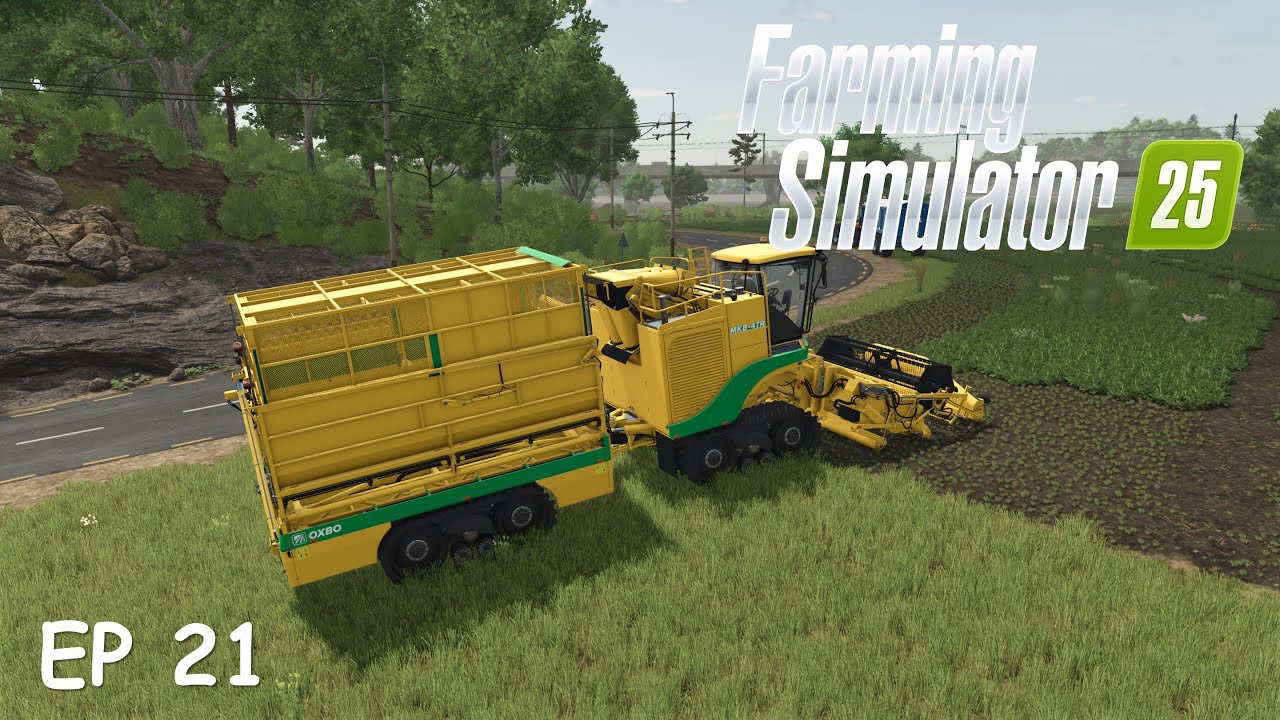 Colheita de Espinafre, Bug no Mapa e uma Grande Promoção na Loja! | FS25 - Hutan Pantai #21