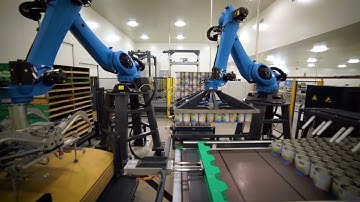 Robot system for palletizing