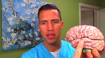 Thyroid Brain Fog and Memory Loss With Hashimoto