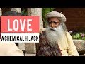 Love - A Chemical Hijack | Shekhar Kapur With Sadhguru