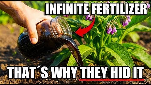 One Plant Creates Infinite Fertilizer — Why Did We Stop Using It?