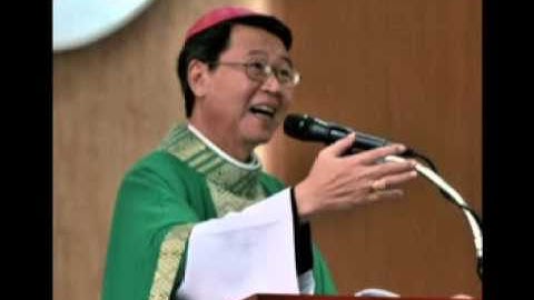 Bài giảng Chúa Nhật 15 Thường Niên - Năm A