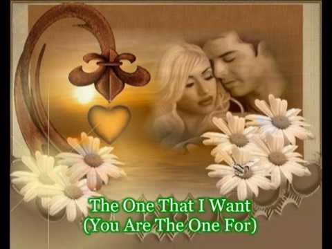 Photo de You’re the One That I Want (dub mix)