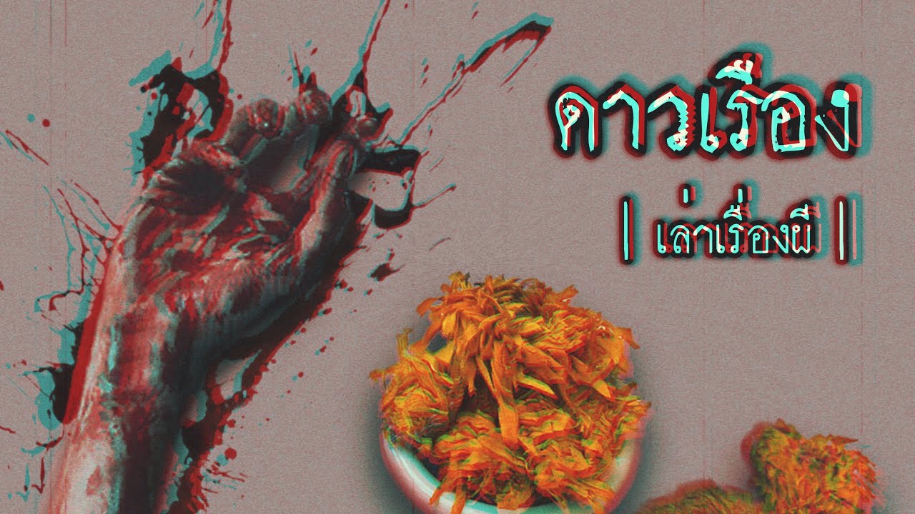 เล่าเรื่องผี EP.206 | ดาวเรือง