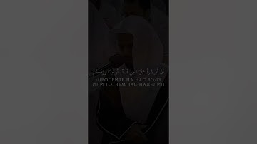 تلاوة باكية تهز القلوب للشيخ ابوبكر الشاطري