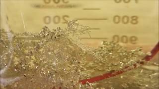 Time-Lapse / Pure Silver Crystal Growth