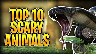 TOP 10 Scariest Animals.