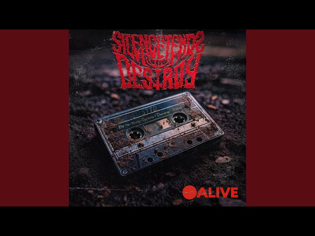 Диктатор (Live)