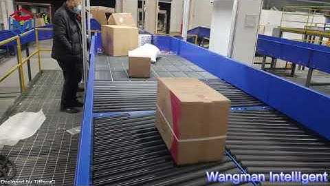 Singulator/Singulation Conveyor Site Working Performance