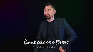 Robert din Barbulesti - Omul este ca o floare ( Official Audio )