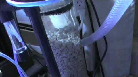 How a Calcium Reactor Works on Reef Tank - Calc Reactor Basics