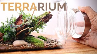 Planted Driftwood Terrarium (How to build a closed terrarium using a planted piece of driftwood)