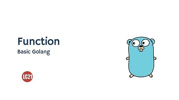 Learning Golang Fundamentals - Function Part 14