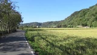 1091111三坑自行車道(1)
