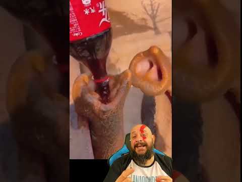 Elefante tomou Coca cola pela tromba?