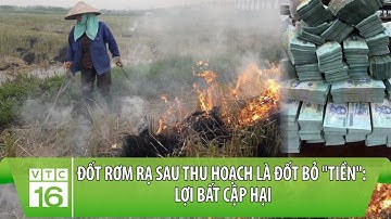 Đốt rơm rạ sau thu hoạch là đốt bỏ "tiền": Lợi bất cập hại | VTC16
