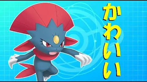 黒バドザシアン構築 黒バドザシアン構築
