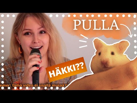 Video: Onko marsu hamsteri?