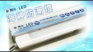 【舞光LED】超防水的海神防潮燈 IP66防塵防水 CNS認證