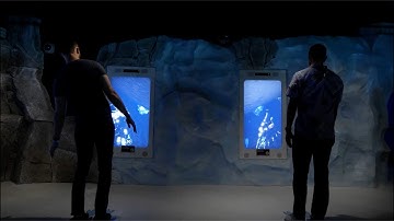 Touchless User Interface, Motion Based Exhibits - Ideum Reel